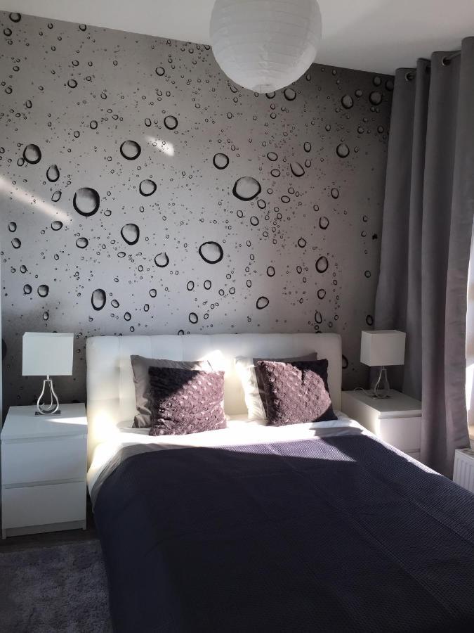 Apartament Winnica Stary Toruń エクステリア 写真